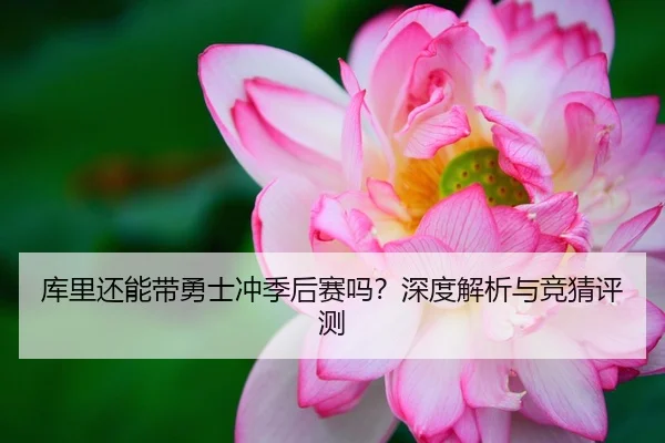 库里还能带勇士冲季后赛吗？深度解析与竞猜评测